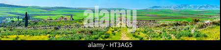 Panorama della antica città di Volubilis, patrimonio UNESCO in Marocco Foto Stock