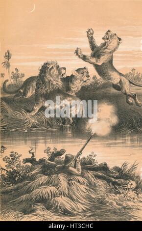 'Lion a caccia di Notte', C1880. Artista: sconosciuto. Foto Stock