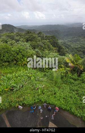 Al di sopra di visitatori presso YOKAHU torre di osservazione pioggia foresta El Yunque National Forest RIO GRANDE PUERTO RICO Foto Stock