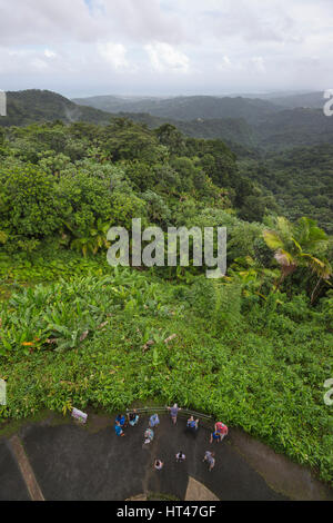 Al di sopra di visitatori presso YOKAHU torre di osservazione pioggia foresta El Yunque National Forest RIO GRANDE PUERTO RICO Foto Stock