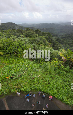 Al di sopra di visitatori presso YOKAHU torre di osservazione pioggia foresta El Yunque National Forest RIO GRANDE PUERTO RICO Foto Stock