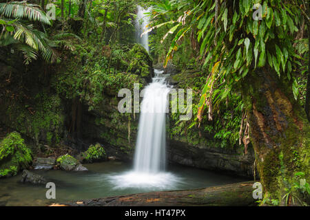 JUAN DIEGO cascate El Yunque National Forest RIO GRANDE PUERTO RICO Foto Stock