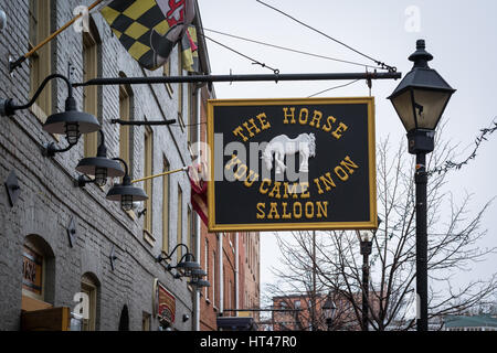 Il cavallo è venuto in su Berlina, in Fells Point, Baltimore, Maryland. Foto Stock