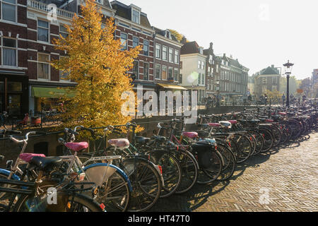 Utrecht, Paesi Bassi - 23 Ottobre 2016: Biciclette parcheggiate lungo la Oude Gracht nel centro storico della città di Utrecht Foto Stock