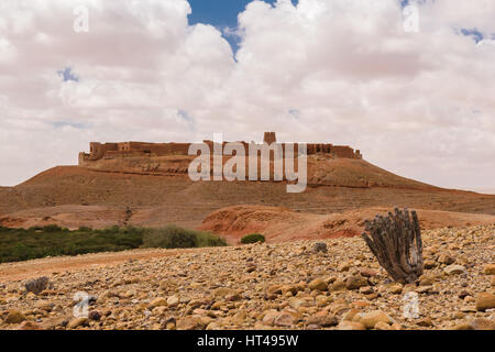 Ksar Tafnidilt vicino a Wadi Draa, Tan- Tan, Marocco Foto Stock