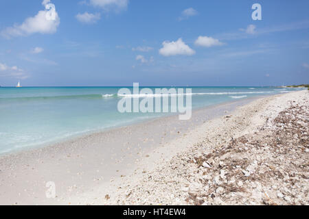 Spiaggia di Aruba, LG Smith Boulevard Foto Stock