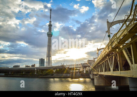 Tokyo, Giappone - 12 Novembre 2013 : Tokyo Skytree è una radiodiffusione e torre di osservazione a Sumida, Tokyo Foto Stock