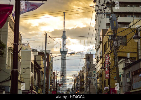 Tokyo, Giappone - 12 Novembre 2013 : Tokyo Skytree è una radiodiffusione e torre di osservazione a Sumida, Tokyo Foto Stock