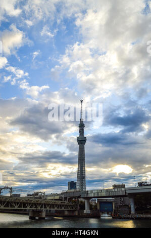 Tokyo, Giappone - 12 Novembre 2013 : Tokyo Skytree è una radiodiffusione e torre di osservazione a Sumida, Tokyo Foto Stock