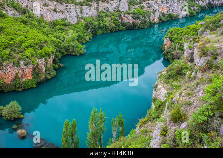 Verde fiume Krka nel parco nazionale di Krka in Croazia Foto Stock