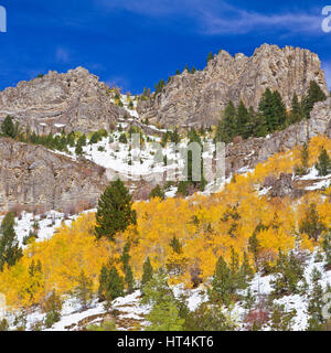 Aspen in autunno a colori sotto le scogliere al gallatin intervallo vicino gallatin gateway, montana Foto Stock