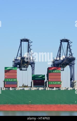 Porto di FELIXSTOWE SUFFOLK REGNO UNITO 24 FEBBRAIO 2016: due grandi gru di carico con contenitori in barca Foto Stock