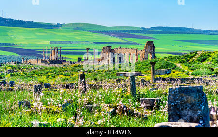 Panorama della antica città di Volubilis, patrimonio UNESCO in Marocco Foto Stock