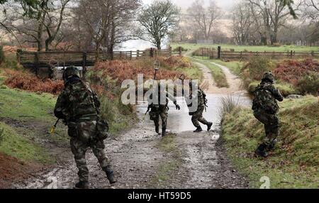 Membri del 55th Gruppo di fanteria prendere parte alla fase finale della formazione in Glen of Imaal, precedendo di distribuzione per la missione di mantenimento della pace in alture del Golan ai primi di aprile. Foto Stock