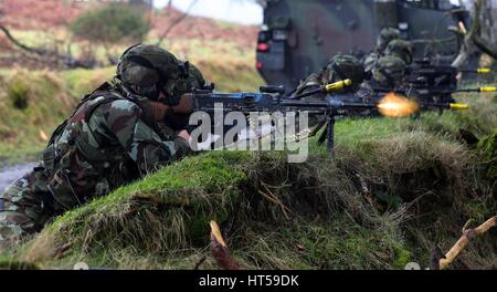 Membri del 55th Gruppo di fanteria prendere parte alla fase finale della formazione in Glen of Imaal, precedendo di distribuzione per la missione di mantenimento della pace in alture del Golan ai primi di aprile. Foto Stock