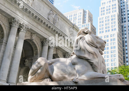 Leone di pietra al di fuori della Stephen un Schwarzman Building, New York Public Library, NYC, STATI UNITI D'AMERICA Foto Stock