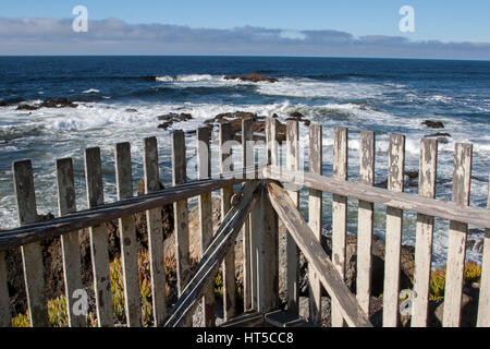 Viste di Pigeon Point Lighthouse sull'autostrada 1 sulla parte settentrionale della costa della California. Foto Stock