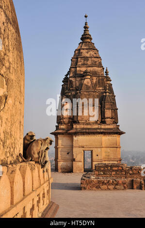 Il Tempio Chaturbhuj, Orchha, India Foto Stock