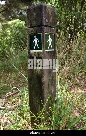 Sentiero firmare con la freccia sulla piccola lichen coperto pole che mostra la direzione a piedi. Foto Stock