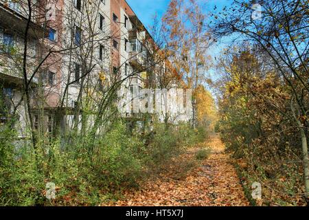 Cernobyl: pripjat - edificio abbandonato preso in consegna dalla vegetazione dopo il disastro Foto Stock