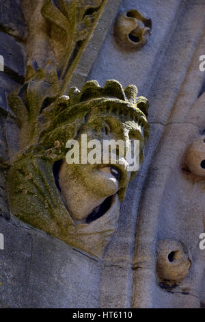 Weathered gargoyle di pietra sulla vecchia chiesa, Oxford Foto Stock