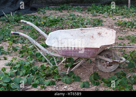 Primo piano di costruzione macchiato una ruota carrello Foto Stock
