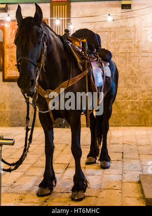 Sella con staffe sul dorso di un cavallo , partito, protester, slogan, ispanica, billy, elettori, cavallo di polizia Foto Stock