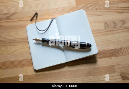 Montblanc Meisterstruck 149 di penna di fontana e un piccolo notebook Moleskin Foto Stock