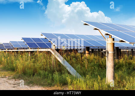 Pannello solare produce verde, rispettosi dell'ambiente energia dal sole. Foto Stock