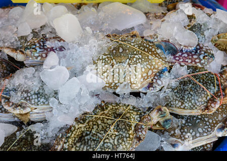 Close up freschi congelati crab nel mercato locale Foto Stock