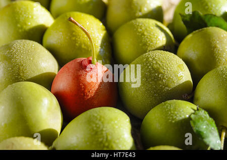 Succose pere verde con gocce d'acqua sulla accartocciata carta craft. Rosso da sola pera. Distinguiti dalla folla concept Foto Stock