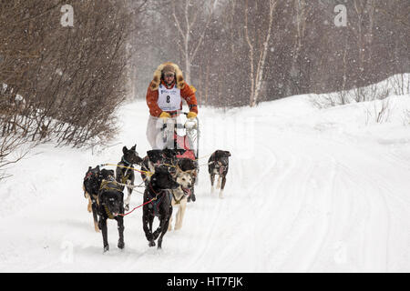 Calumet, MI - Marzo 1, 2015: CopperDog 150 Sled Dog Race. Squadre traversa 150 miglia oltre 3 giorni durante la manifestazione annuale che inizia e finisce nel suo Foto Stock