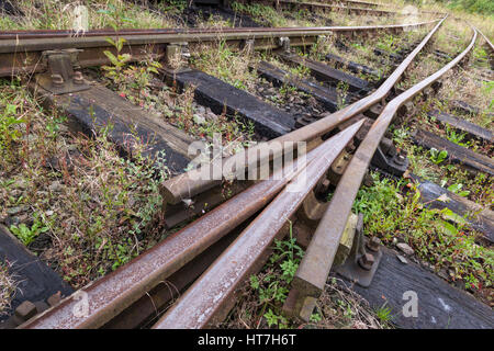 Le erbe infestanti e piante che crescono intorno al vecchio arrugginito punti ferroviarie o commutazione, England, Regno Unito Foto Stock