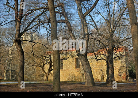 Rovine della chiesa francescana e il monastero a Margherita (Margitsziget) isola sul fiume Danubio, Budapest, Ungheria Foto Stock