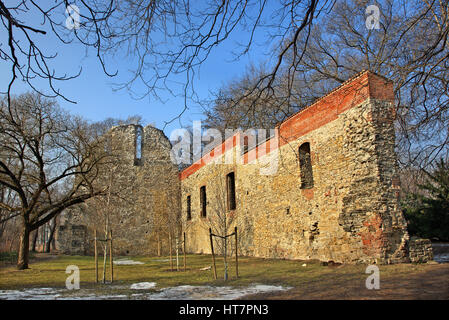 Rovine della chiesa francescana e il monastero a Margherita (Margitsziget) isola sul fiume Danubio, Budapest, Ungheria Foto Stock