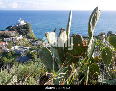 Faro di Capo Miseno, spiaggia miseno, medmar Foto Stock