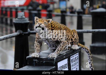 Londra, Regno Unito. 8 Mar, 2017. Nat Geo WILD svela il primo al mondo iper realistica animatronic leopard per segnare il lancio del gatto grande Settimana (6-12 marzo), in associazione con la carità il grande gatti iniziativa. Credito: Stephen Chung/Alamy Live News Foto Stock