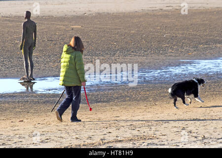 Regno Unito Meteo, Crosby, Liverpool, Merseyside. 8 marzo 2017. Con il glorioso sole primaverile piovono a nord-ovest dell'Inghilterra, cane camminatori e ciclisti a prendere il mare a Crosby Parco costiero nel Merseyside. Credito: Cernan Elias/Alamy Live News Foto Stock