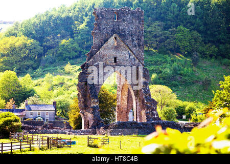 Talley Abbey, vicino a Llandeilo, Carmarthenshire, Wales, Regno Unito Foto Stock