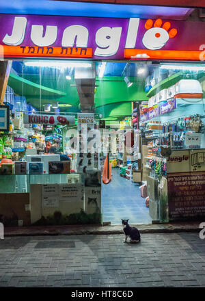 Un gatto al di fuori di un negozio di animali a Tel Aviv, Israele Foto Stock