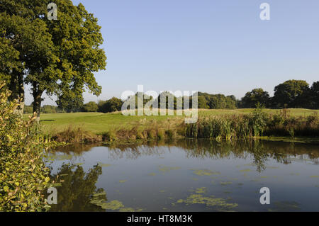 Vista sul laghetto sul primo foro del Bosco Corso, Wildwood Golf e Country Club, Alfold, Surrey, Inghilterra Foto Stock