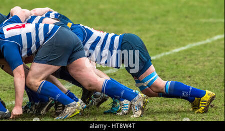 Amateur Rugby Union club giocatori di calcio Foto Stock