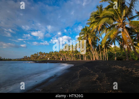 Punalu'u spiaggia di sabbia nera nel Ka'u quartiere sulla Big Island delle Hawaii. Foto Stock