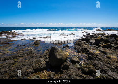 Roccia lavica costa a Los Barrancos, Tenerife, Isole Canarie, Spagna Foto Stock