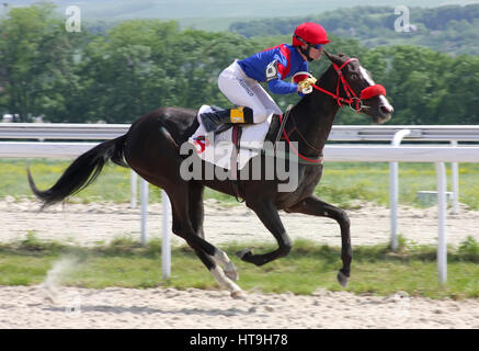 PYATIGORSK, Russia - 5 giugno:Jockey Yuri Kulinich tagliare per primo il traguardo in una corsa di cavalli per il premio del Nord Osetia-Alania su Giugno 5, 2011 Foto Stock