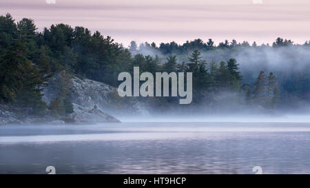 Charlton Lago all'alba, coregoni cade, Ontario, Canada Foto Stock