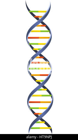 DNA Blood cromosoma catena modello Helix scienza molecolare Struttura a spirale illustrazione vettoriale. Foto Stock
