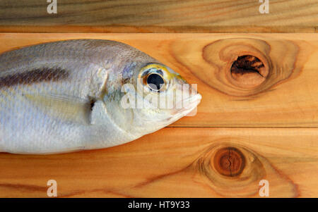 Pesce fresco Scolopsis monogramma pesce su legno nella luce solare tempo fatto di luce e ombra Foto Stock