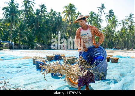 Myanmar (ex Birmanie). Ngapali. Stato Arakan. Il Bengala Campo da Golf. Villaggio di Pescatori. Le donne mettendo essiccato Foto Stock