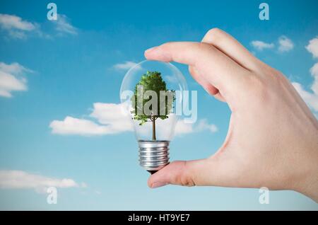 Efficienza energetica del concetto. Composizione astratta con albero in lampadina sulla natura sfondo Foto Stock